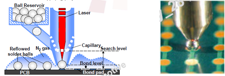 blob.png